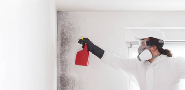 Certified Mold Removal in Hildebran, NC